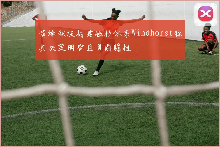 黄蜂积极构建独特体系Windhorst称其决策明智且具前瞻性