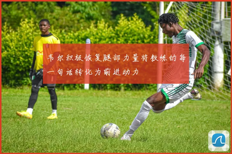 韦尔积极恢复腿部力量将教练的每一句话转化为前进动力