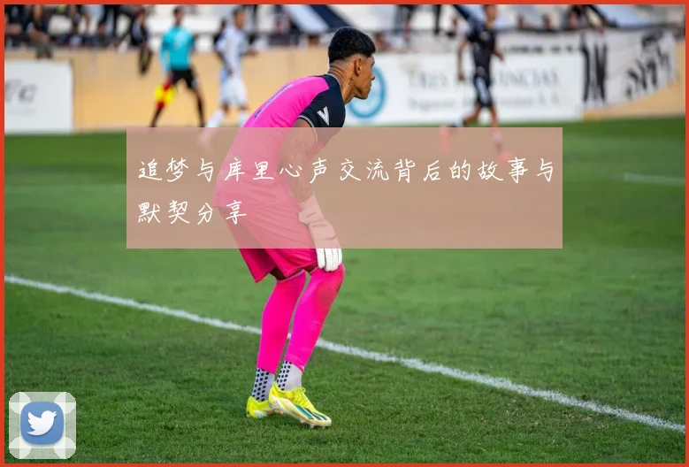 追梦与库里心声交流背后的故事与默契分享