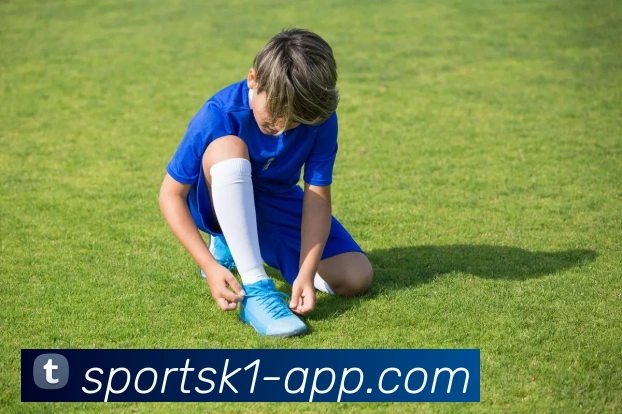 k1体育APP 高清赛事图